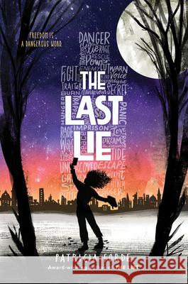 The Last Lie Patricia Forde 9781492693338