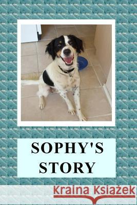 Sophy's Story April Kihlstrom 9781492708377