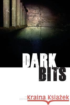 Dark Bits Jacob Haddon Robert Ford G. N. Braun 9781492724629 Createspace