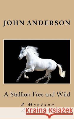 A Stallion Free and Wild John Anderson 9781492751175 Createspace