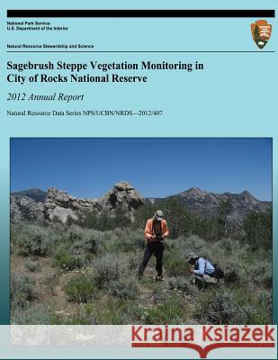 Sagebrush Steppe Vegetation Monitoring in City of Rocks National Reserve: 2012 Annual Report: Natural Resource Data Series NPS/UCBN/NRDS-2012/407 Rodhouse, Thomas J. 9781492756880 Createspace