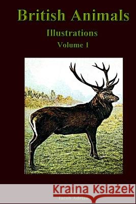 British Animals Illustrations vol.1 Adrian, Iacob 9781492770541 Createspace