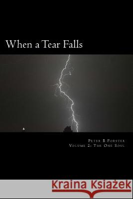 When a Tear Falls MR Peter B. Forster 9781492819400