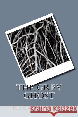 The grey ghost Hajek, Ronald J. 9781492863335 Createspace