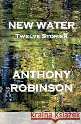 New Water: Twelve Stories Anthony Robinson 9781492898498 Createspace