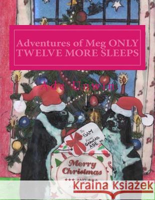 Adventures of Meg ONLY TWELVE MORE SLEEPS Unwin, Ade 9781492921646