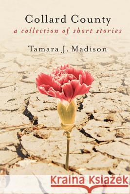 Collard County: A Collection of Short Stories Tamara J. Madison 9781492926078 Createspace