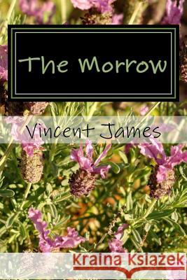 The Morrow Vincent James 9781492942641