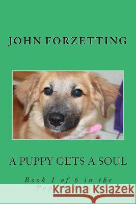 A Puppy Gets A Soul Forzetting, John 9781492943341 Createspace