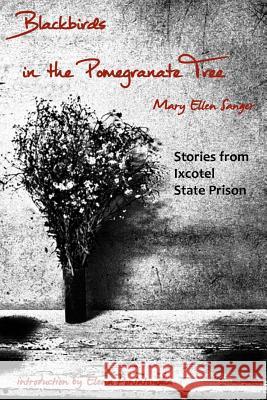 Blackbirds in the Pomegranate Tree: Stories from Ixcotel State Prison Mary Ellen Sanger 9781492957072