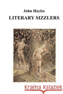 Literary Sizzlers John Hoyles 9781492969648