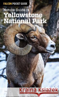 Nature Guide to Yellowstone National Park Ann Simpson Rob Simpson 9781493009671 Globe Pequot Press