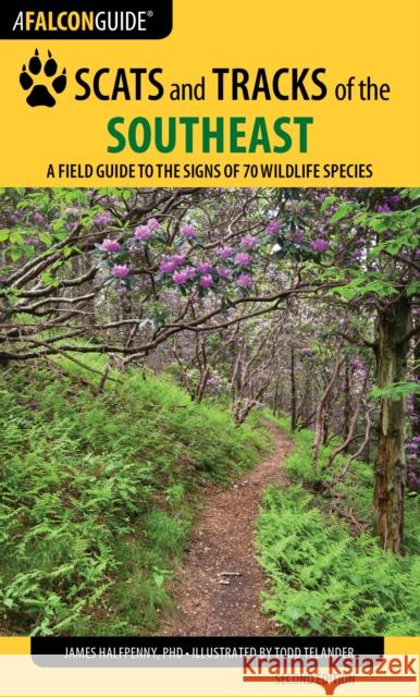 Scats and Tracks of the Southeast: A Field Guide to the Signs of 70 Wildlife Species Halfpenny, James 9781493009978 Falcon Guides