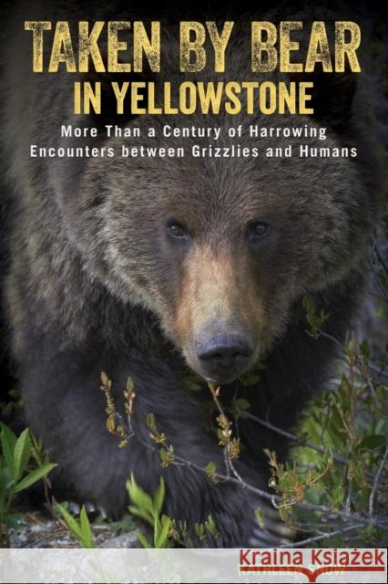 Taken by Bear in Yellowstone: More Than a Century of Harrowing Encounters between Grizzlies and Humans Snow, Kathleen 9781493017713 Lyons Press