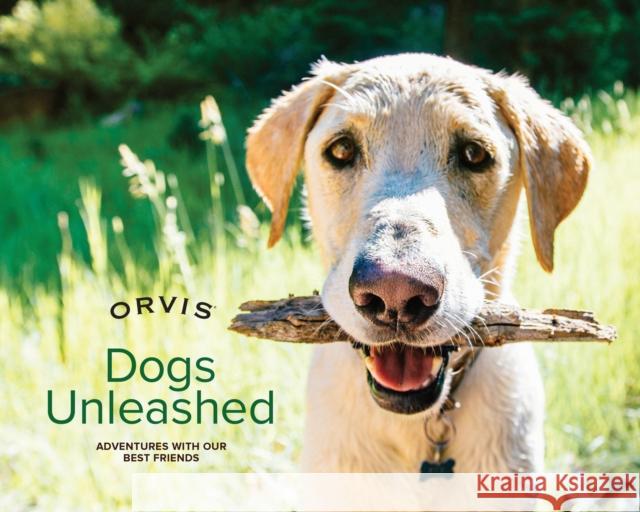 Dogs Unleashed: Adventures with Our Best Friends Orvis 9781493026791 Lyons Press