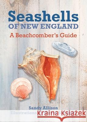 Seashells of New England: A Beachcomber's Guide J. Duane Sept David Scheirer 9781493027897 Globe Pequot Press