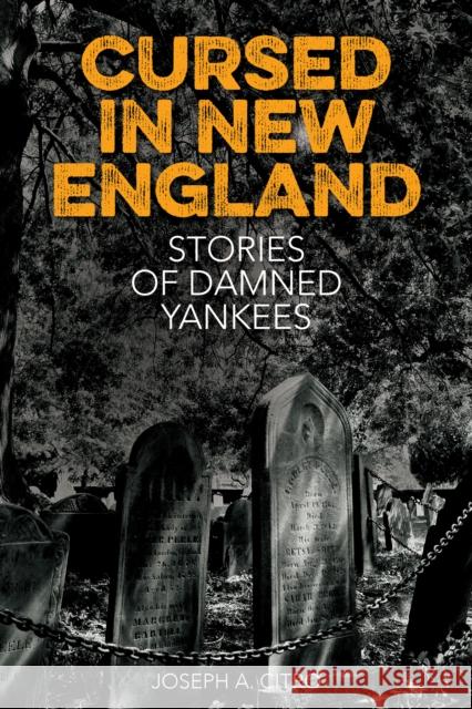 Cursed in New England: More Stories of Damned Yankees Citro, Joseph A. 9781493032242