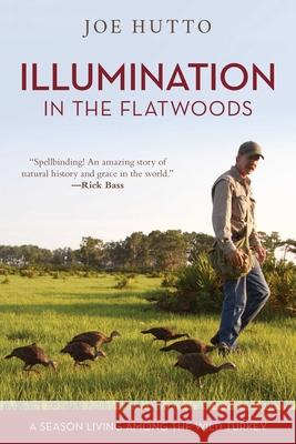 Illumination in the Flatwoods: A Season Living Among the Wild Turkey Hutto, Joe 9781493036967 Lyons Press