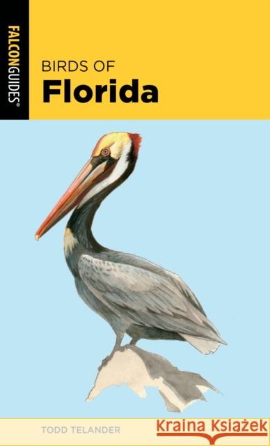 Birds of Florida Todd Telander 9781493051885 Falcon Press Publishing