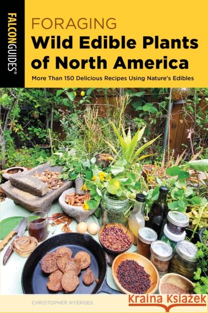 Foraging Wild Edible Plants of North America: More Than 150 Delicious Recipes Using Nature's Edibles Nyerges, Christopher 9781493064472 Falcon Press Publishing