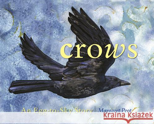 Crows: An Egg-To-Sky Story Margaret Peot 9781493080977 Muddy Boots