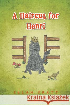 A Haircut for Henri Ielah Pratt 9781493179596 Xlibris Corporation
