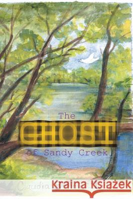 The Ghost of Sandy Creek Claudia Schmidt Liess 9781493179640