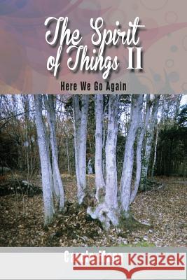 The Spirit of Things II: Here We Go Again Mann, Carole 9781493181926