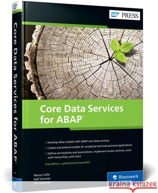 Core Data Services for ABAP Jan Hrastnik 9781493221097 SAP Press