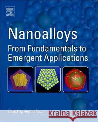 Nanoalloys: From Fundamentals to Emergent Applications Florent Calvo 9781493301294