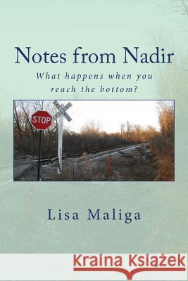 Notes from Nadir Lisa Maliga 9781493519071