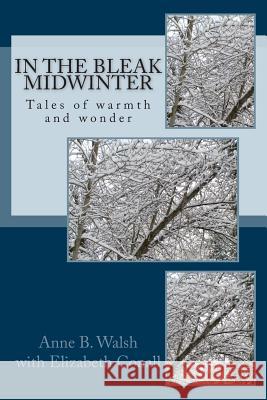 In the Bleak Midwinter: Tales of warmth and wonder Conall, Elizabeth 9781493526871 Createspace