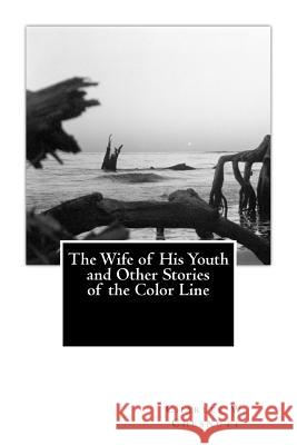 The Wife of His Youth and Other Stories of the Color Line Zondervan Bibles 9781493627004