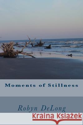 Moments of Stillness Robyn DeLong 9781493701858