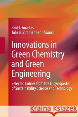 Innovations in Green Chemistry and Green Engineering : Selected Entries from the Encyclopedia of Sustainability Science and Technology Paul T. Anastas Julie B. Zimmerman 9781493901388 Springer