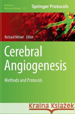 Cerebral Angiogenesis: Methods and Protocols Milner, Richard 9781493903191