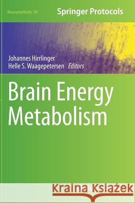 Brain Energy Metabolism Johannes Hirrlinger Helle S. Waagepetersen 9781493910588