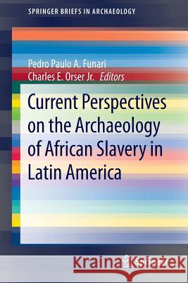 Current Perspectives on the Archaeology of African Slavery in Latin America Pedro Funari Charles E. Orse 9781493912636 Springer