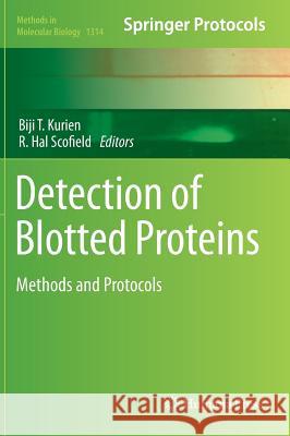 Detection of Blotted Proteins: Methods and Protocols Kurien, Biji T. 9781493927173 Humana Press