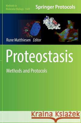 Proteostasis: Methods and Protocols Matthiesen, Rune 9781493937547