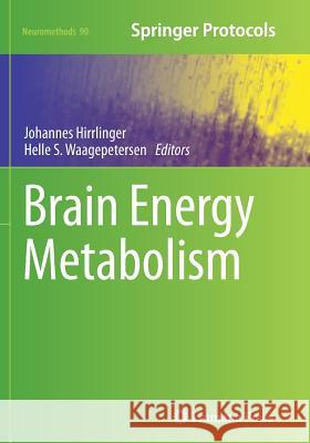 Brain Energy Metabolism Johannes Hirrlinger Helle S. Waagepetersen 9781493944668