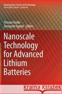 Nanoscale Technology for Advanced Lithium Batteries Tetsuya Osaka Zempachi Ogumi 9781493949168 Springer