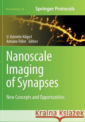 Nanoscale Imaging of Synapses: New Concepts and Opportunities Nägerl, U. Valentin 9781493949182 Humana Press