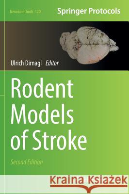 Rodent Models of Stroke Ulrich Dirnagl 9781493956180 Humana Press