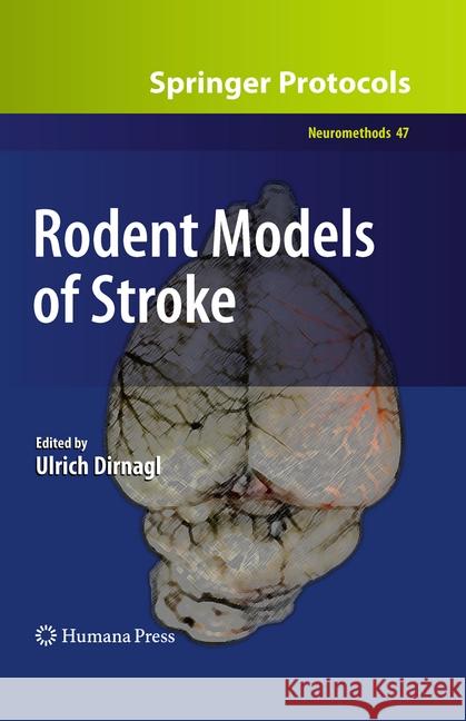 Rodent Models of Stroke Ulrich Dirnagl 9781493958078 Humana Press