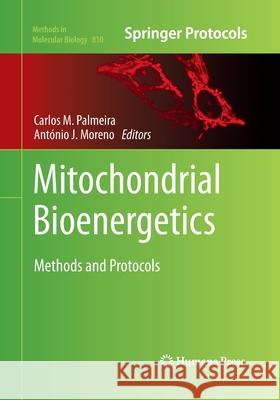 Mitochondrial Bioenergetics: Methods and Protocols Palmeira, Carlos M. 9781493958375 Humana Press