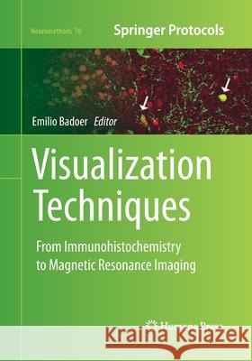 Visualization Techniques: From Immunohistochemistry to Magnetic Resonance Imaging Badoer, Emilio 9781493958405 Humana Press