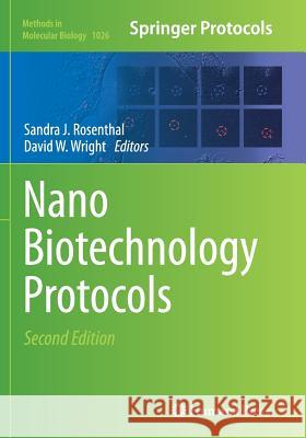 Nanobiotechnology Protocols Rosenthal, Sandra J. 9781493958481