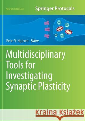 Multidisciplinary Tools for Investigating Synaptic Plasticity Peter Nguyen 9781493959198 Humana Press