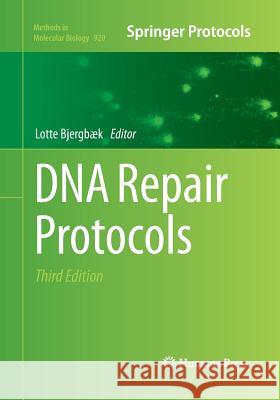 DNA Repair Protocols Lotte Bjerg 9781493959549 Humana Press